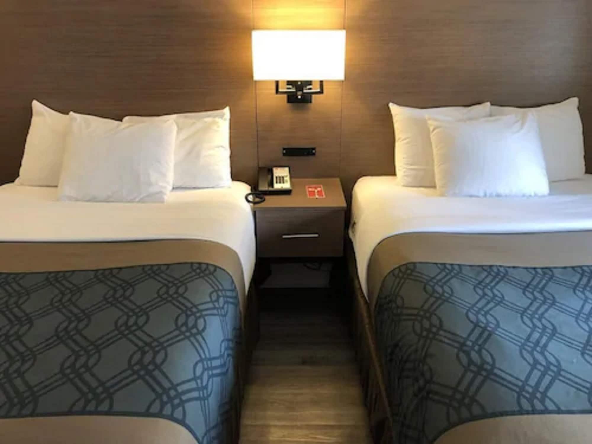 Econo Lodge Inn & Suites Downtown Toronto Exteriör bild